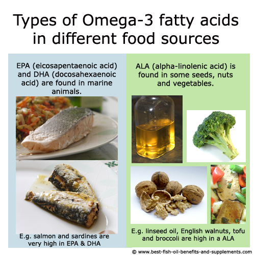In-Depth Omega-3 Supplements Guide to Fish Oil | The Best ...