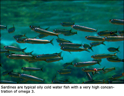 Cold water sardines are very high in omega 3 content.