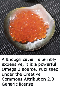 Red caviar from salmon is a great Omega 3 source.