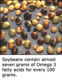Soybeans and other soy products are rich in Omega 3.
